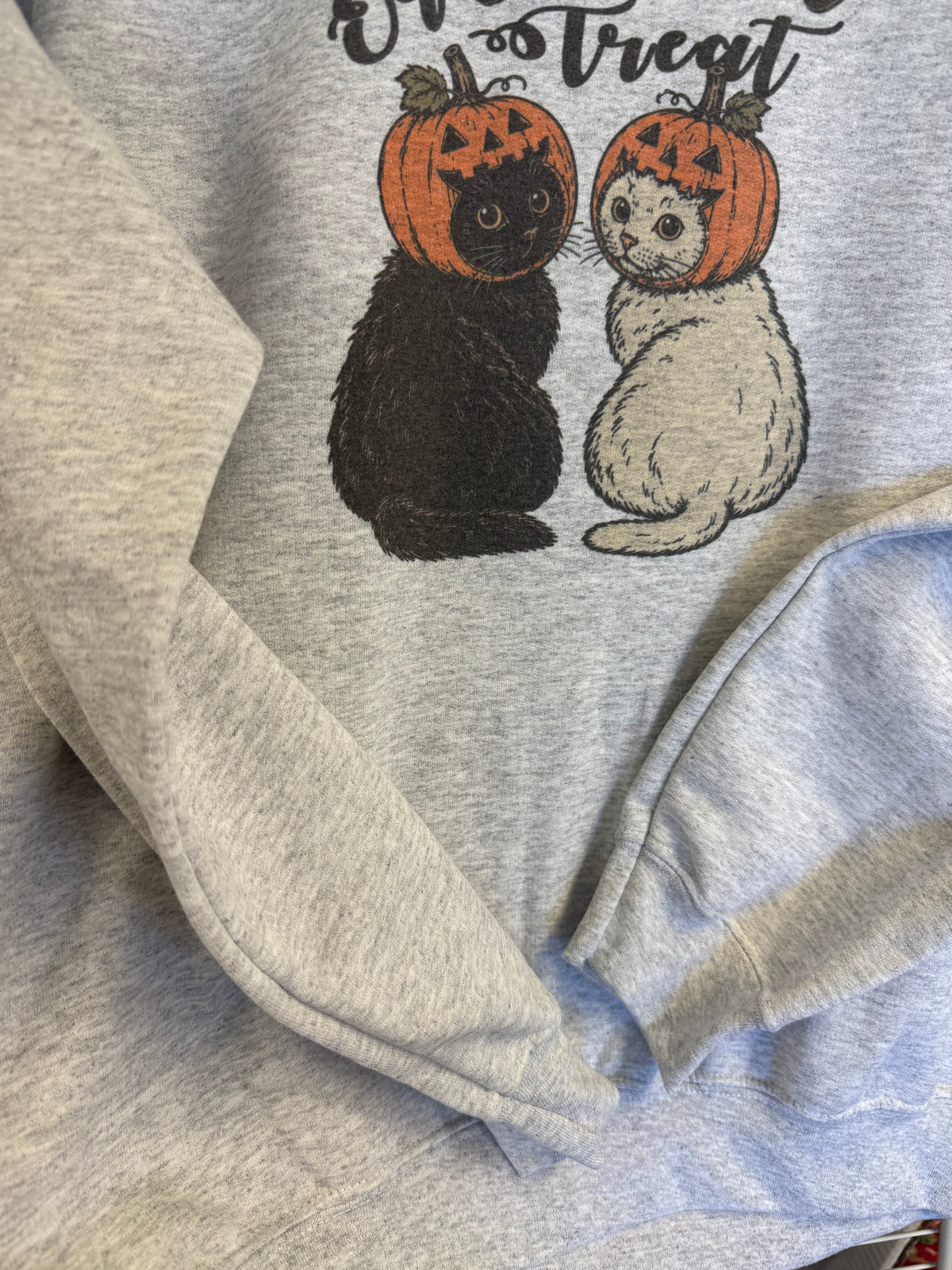 Jack O Lantern Halloween Cats