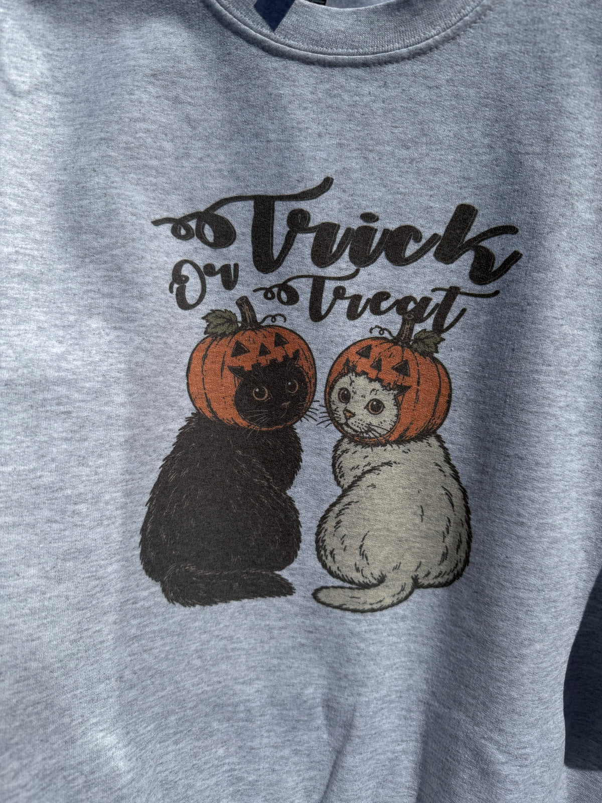 Jack O Lantern Halloween Cats