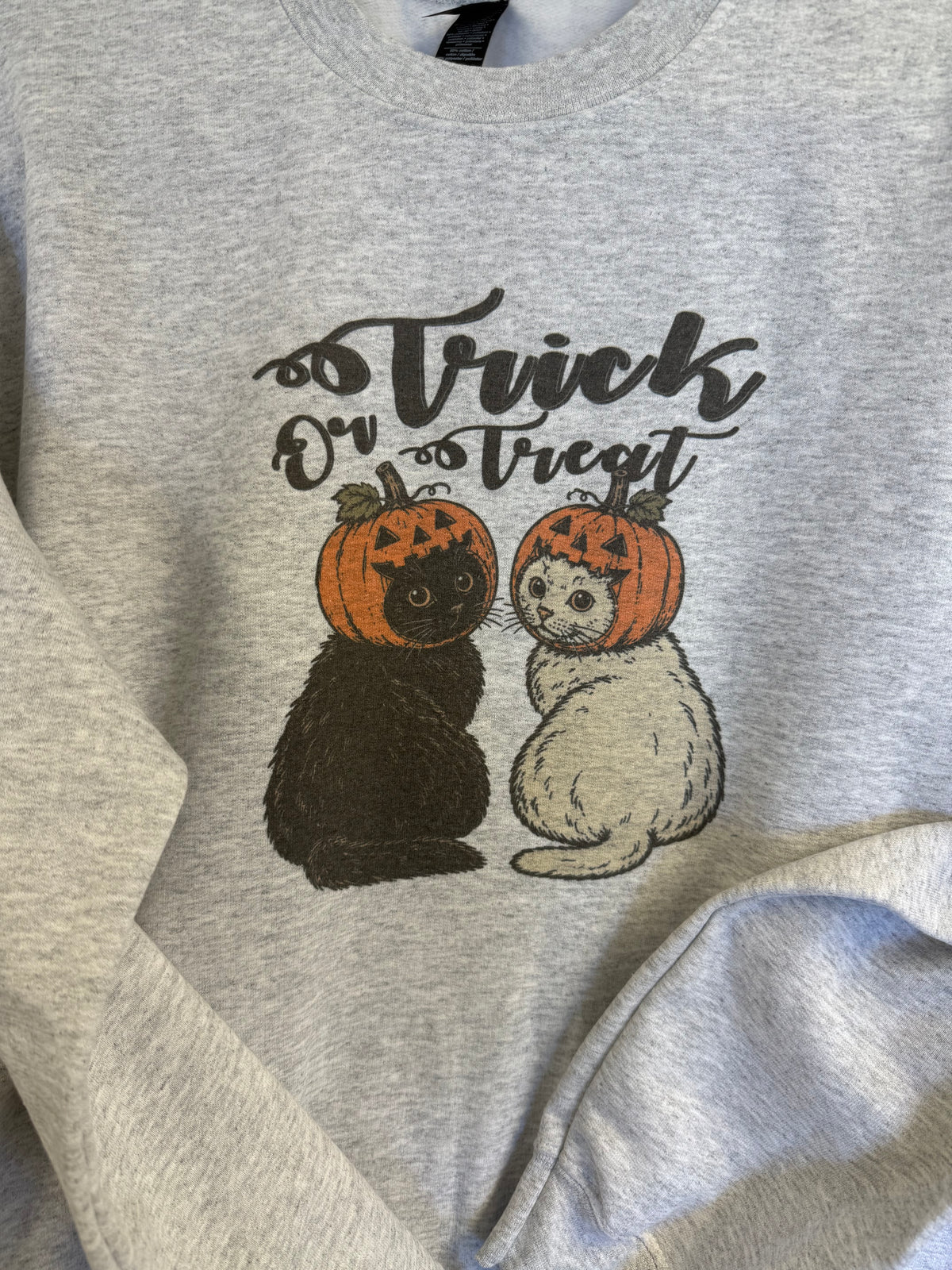 Jack O Lantern Halloween Cats