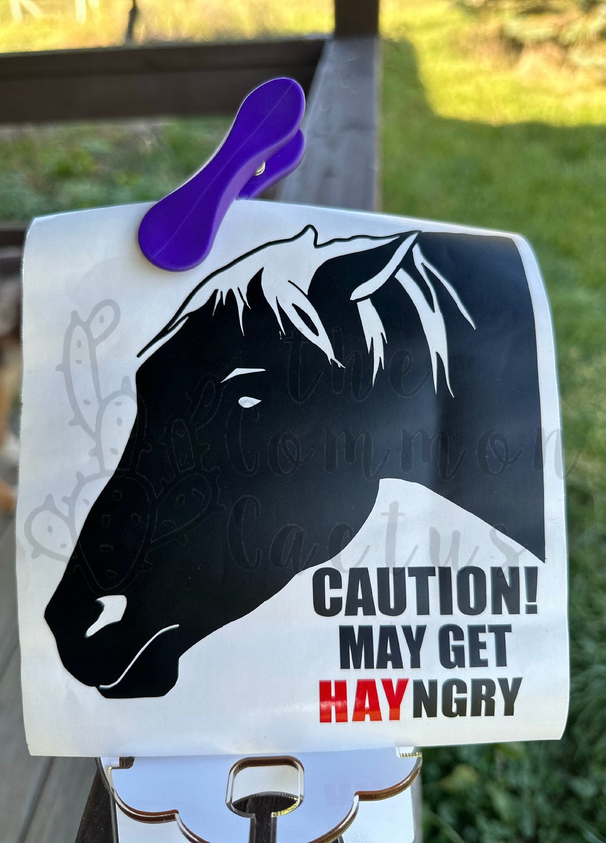 Angry Mare decals!