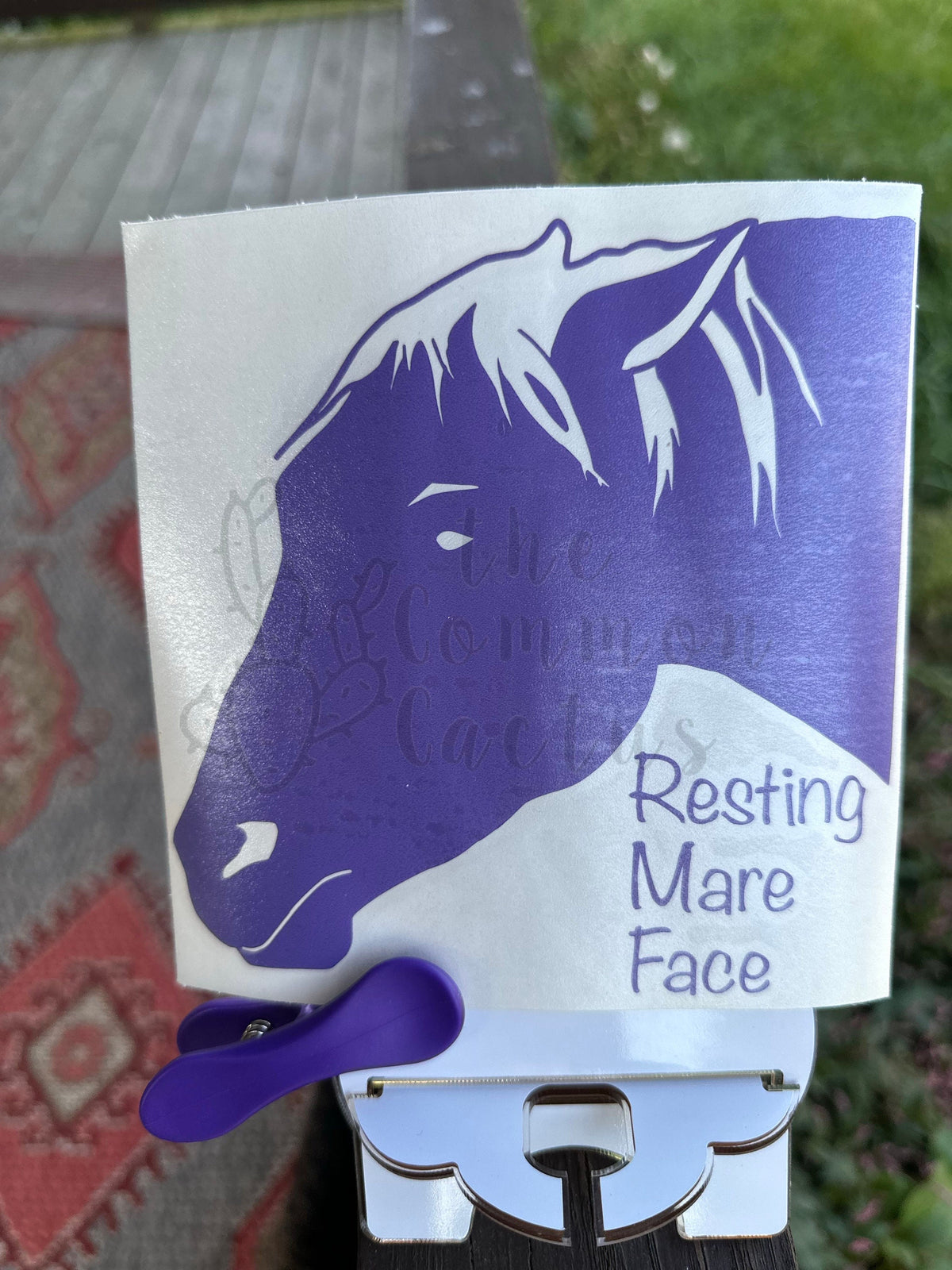 Angry Mare decals!