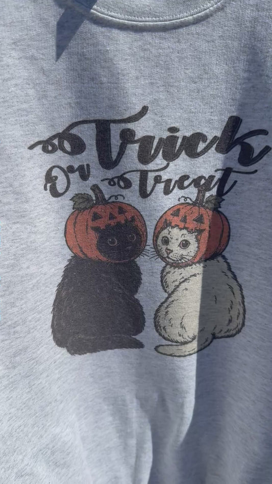 Jack O Lantern Halloween Cats